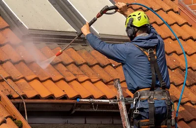 Démoussage et hydrofuge de toiture à Lubécourt